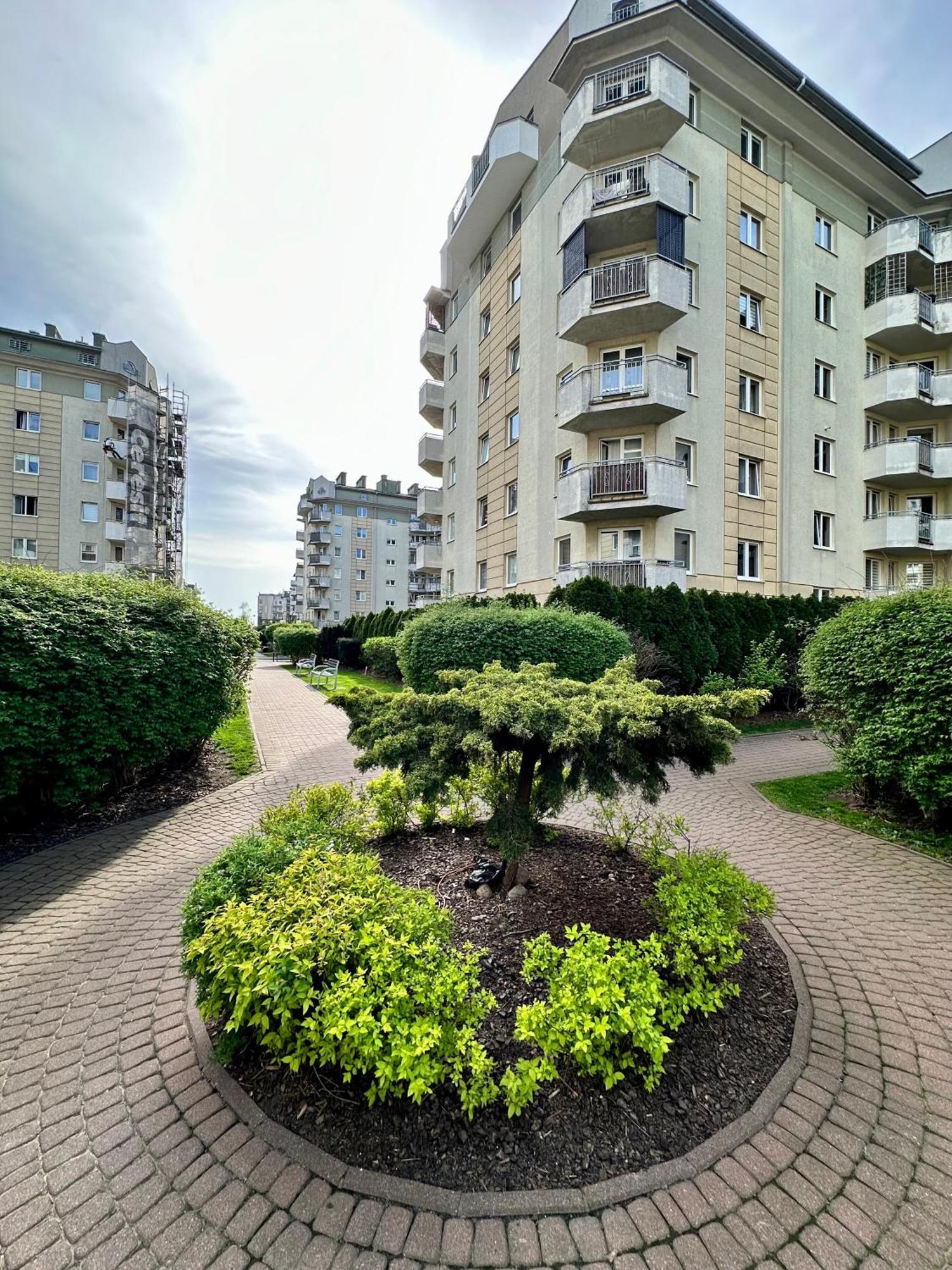 Millennium Skorosze Mango
